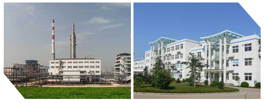 河北田原.jpg 河北田原.jpg