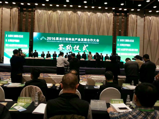 仟億達(dá)831999碳交易業(yè)界影響強(qiáng),副總田衛(wèi)然接受黑龍江廣播電視臺(tái)采訪 仟億達(dá)831999碳交易業(yè)界影響強(qiáng),副總田衛(wèi)然接受黑龍江廣播電視臺(tái)采訪