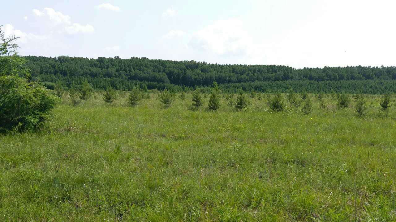 仟億達集團(證券代碼:831999)與科爾沁左翼旗苗圃就碳匯造林項目達成合作 仟億達集團(證券代碼:831999)與科爾沁左翼旗苗圃就碳匯造林項目達成合作