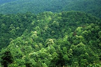 仟億達碳資產(chǎn)交易 幫人類找回一個干凈的文明社會 仟億達碳資產(chǎn)交易 幫人類找回一個干凈的文明社會