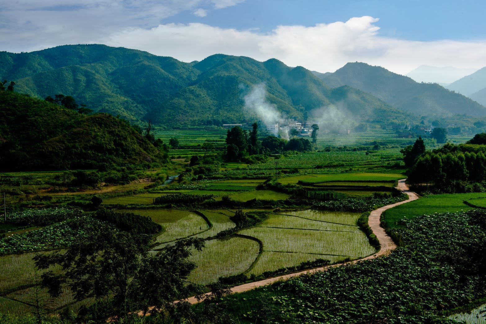 仟億達億碳與江西石城縣達成林業碳匯項目合作